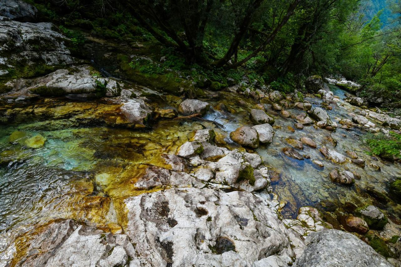 Julian Village Lepena Soča Dış mekan fotoğraf