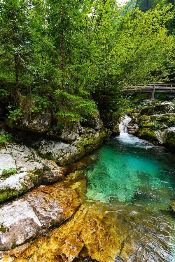 Julian Village Lepena Soča Dış mekan fotoğraf